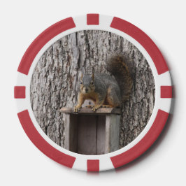 eekhoorn poker chips