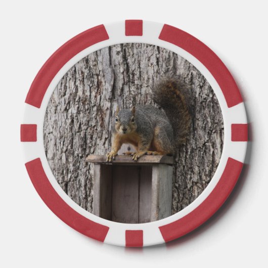 eekhoorn poker chips (Voorkant)
