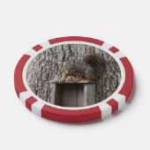 eekhoorn poker chips (Enkel)