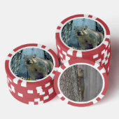 eekhoorn poker chips (Opstapeling)