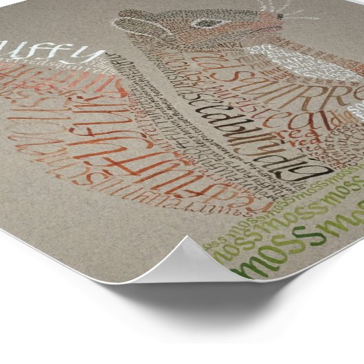 Eekhoorn Portret Calligram Poster (Hoek)