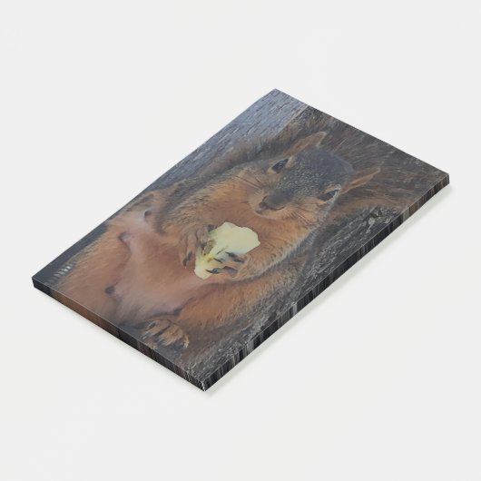 eekhoorn post-it® notes (Schuin)