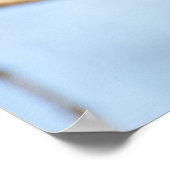 eekhoorn poster (Hoek)