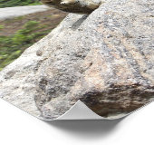 Eekhoorn Poster (Hoek)