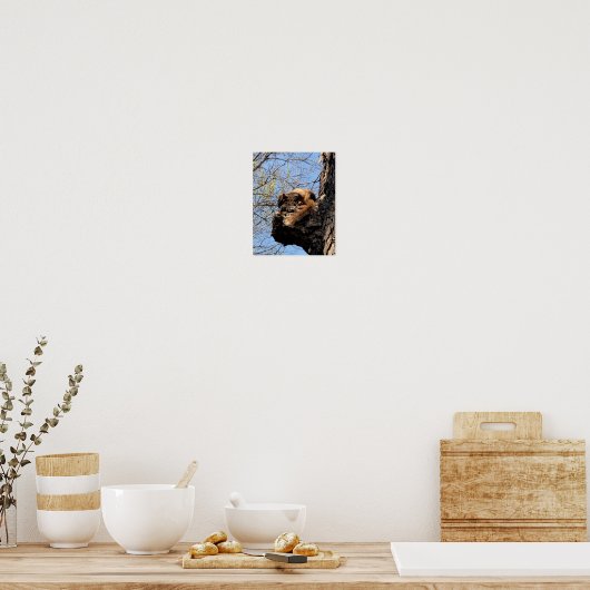Eekhoorn Poster (Keuken)