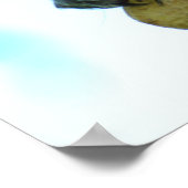 Eekhoorn Poster afdrukken (Hoek)