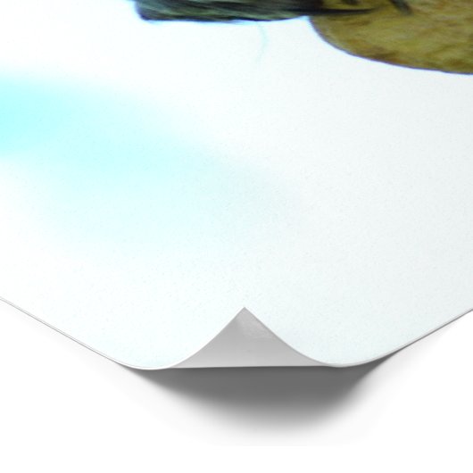 Eekhoorn Poster afdrukken (Hoek)