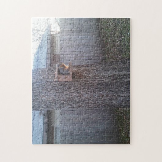 Eekhoorn Puzzle: feeder eekhoorn Legpuzzel (Verticaal)