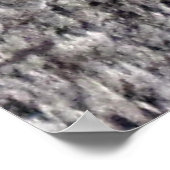 Eekhoorn Resten in boom Poster (Hoek)