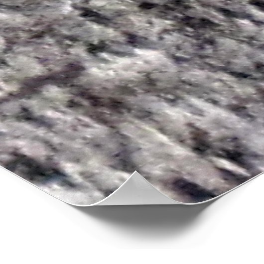 Eekhoorn Resten in boom Poster (Hoek)