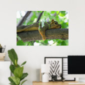 Eekhoorn Resten in boom Poster (Thuiskantoor)