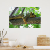 Eekhoorn Resten in boom Poster (Keuken)