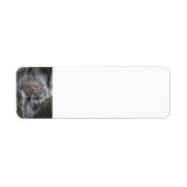 Eekhoorn retour adreslabels etiket (Voorkant)