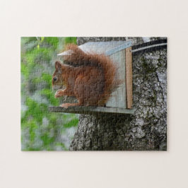 Eekhoorn Rode Knaagdier Schattig Natuur Tuin Maalt Legpuzzel