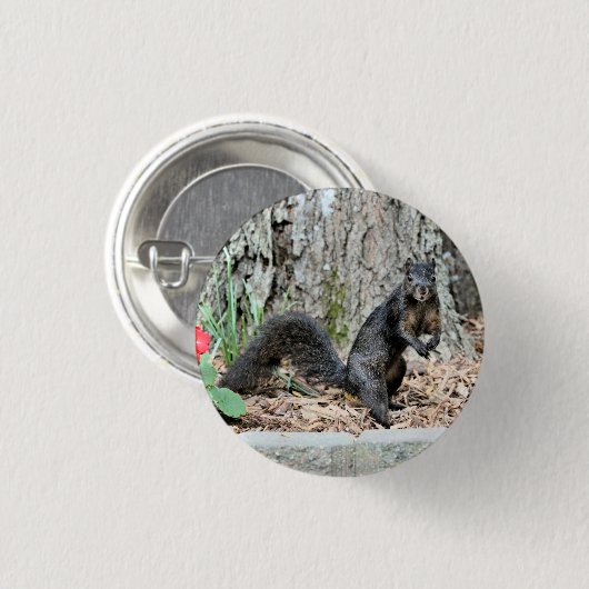 eekhoorn ronde button 3,2 cm (Voorkant /achterkant)