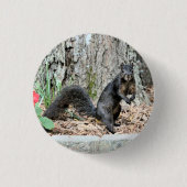 eekhoorn ronde button 3,2 cm (Voorkant)