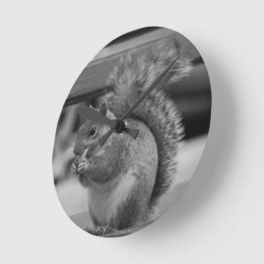 eekhoorn ronde klok (Hoek)