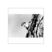 Eekhoorn Rubberstempel (Afrduk)