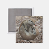 Eekhoorn Rumble Magnet (Voorkant / Achterkant)