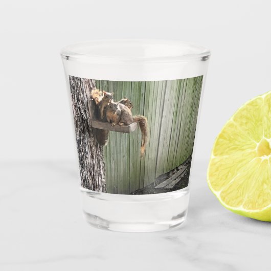 Eekhoorn Shot Glas (Voorkant)