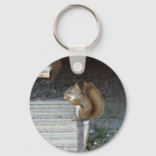 eekhoorn sleutelhanger