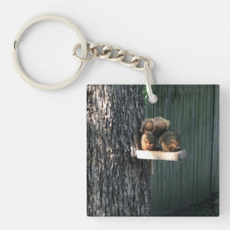 Eekhoorn Sleutelhanger
