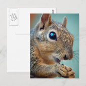 Eekhoorn Sluiten met Nut 2 Briefkaart (Voorkant / Achterkant)