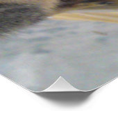 Eekhoorn Sluiten Perfect Poster (Hoek)