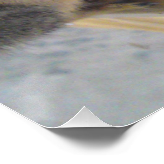 Eekhoorn Sluiten Perfect Poster (Hoek)