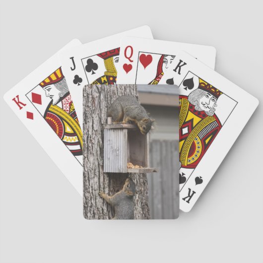 Eekhoorn Speelkaarten (Achterkant)