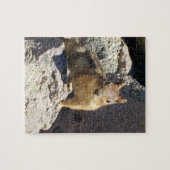 Eekhoorn Starend Duel Legpuzzel (Horizontaal)