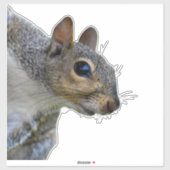 Eekhoorn Sticker (Vel)