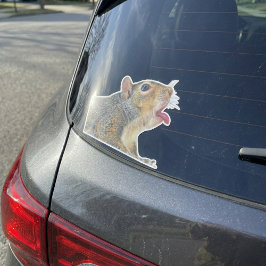 Eekhoorn Sticker