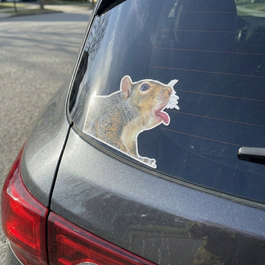Eekhoorn Sticker