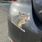 Eekhoorn Sticker
