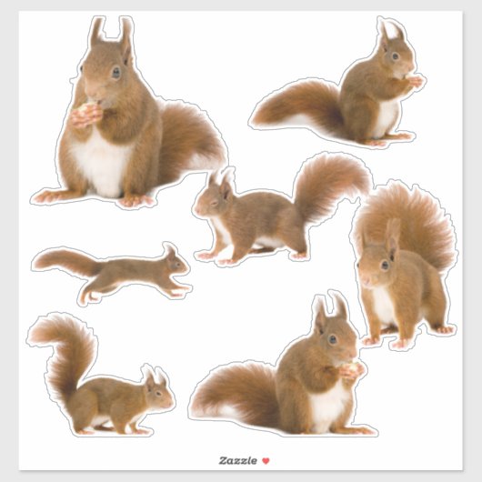 Eekhoorn Sticker Pack (Vel)