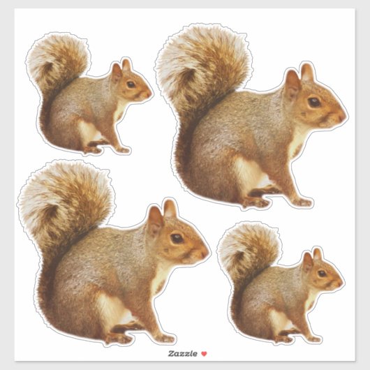 Eekhoorn Sticker Pack (Vel)