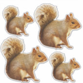 Eekhoorn Sticker Pack (Voorkant)