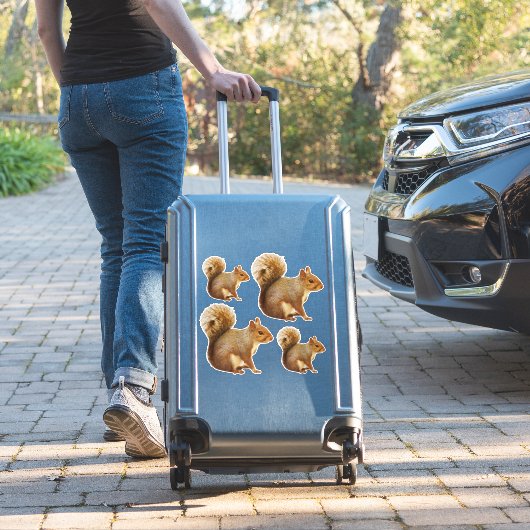 Eekhoorn Sticker Pack (Koffer Insitu)