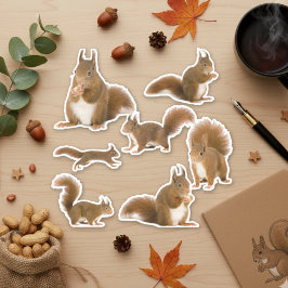Eekhoorn Sticker Pack