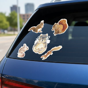 Eekhoorn Sticker Verzameling