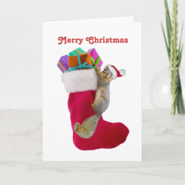 Eekhoorn Stocking Christmas Kaart