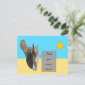 Eekhoorn Sunshine Briefkaart (Staand voorkant)
