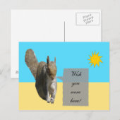 Eekhoorn Sunshine Briefkaart (Voorkant / Achterkant)