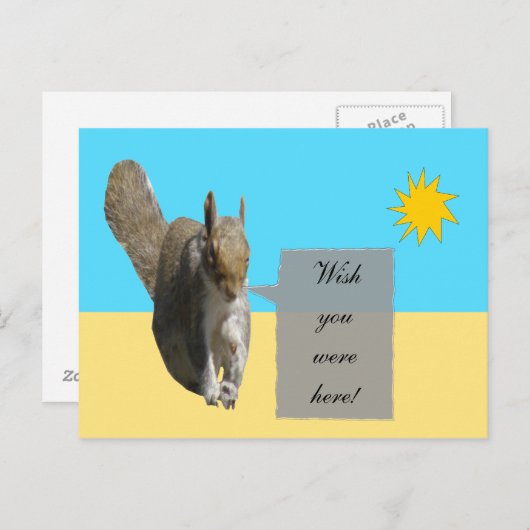 Eekhoorn Sunshine Briefkaart (Voorkant / Achterkant)