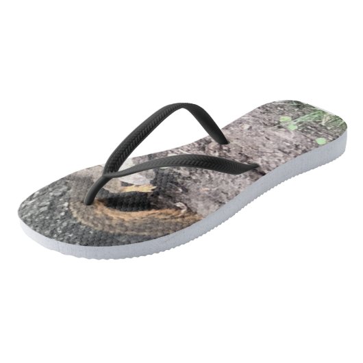 eekhoorn teenslippers (Schuin)