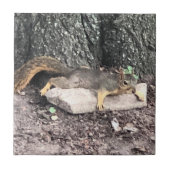 eekhoorn tegeltje (Voorkant)