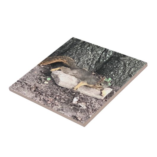 eekhoorn tegeltje (Zijkant)