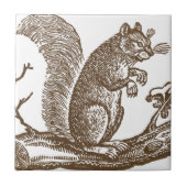 eekhoorn tegeltje (Voorkant)