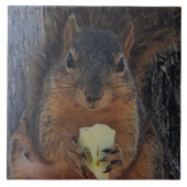 eekhoorn tegeltje (Voorkant)